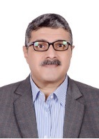 Ahmed Mahmoud Abdel Salam